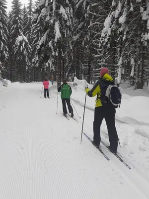 Ferienwohnung Zern im Winter