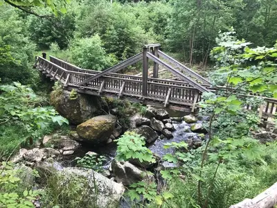 Naturlandschaft in der Nähe der Ferienwohnung