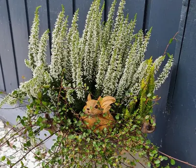 Ein Garten an der Unterkunft Haus Steindöbra