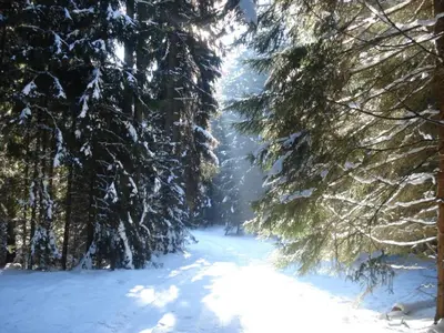 Austragshaus Almbranz im Winter