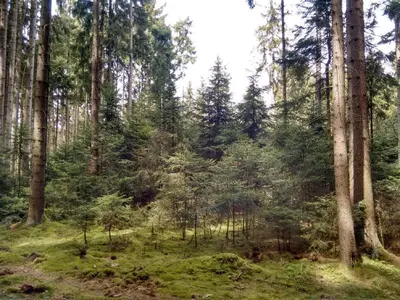 Naturlandschaft in der Nähe des Ferienhauses