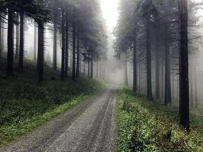 Naturlandschaft in der Nähe der Ferienwohnung