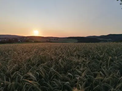 Naturlandschaft in der Nähe der Ferienwohnung