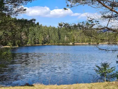 Naturlandschaft in der Nähe des Ferienhauses
