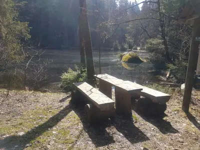 Naturlandschaft in der Nähe des Ferienhauses