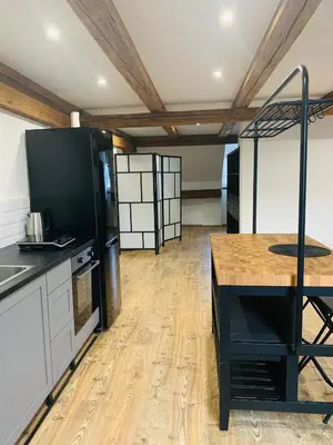 Küche/Küchenzeile in der Unterkunft Studio-Apartments Boulevard