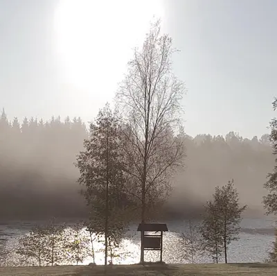 Grundriss der Unterkunft Waldsee