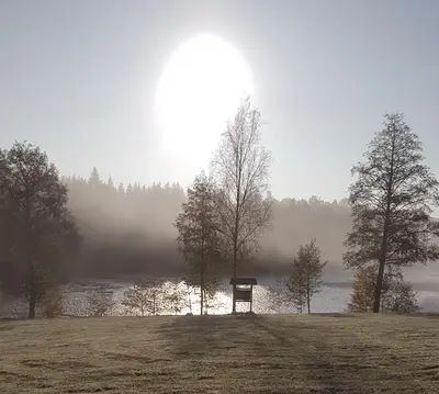Grundriss der Unterkunft Waldsee