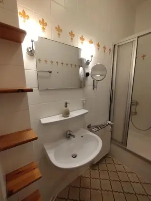Ein Badezimmer in der Unterkunft Ferienwohnung in der Kunst und Kultur Villa Bad Steben