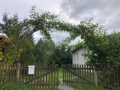 Ein Garten an der Unterkunft Tiny House - Auszeit im Wald am Badesee
