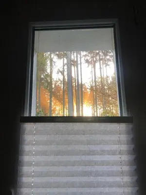 Grundriss der Unterkunft Tiny House - Auszeit im Wald am Badesee