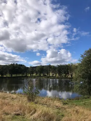 Naturlandschaft in der Nähe des Ferienhauses