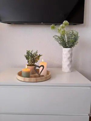 TV/Unterhaltungsangebot in der Unterkunft komfortable Ferienwohnung am Stadtwald von Plauen