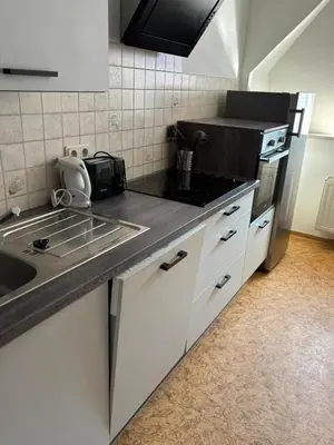 Küche/Küchenzeile in der Unterkunft komfortable Ferienwohnung am Stadtwald von Plauen