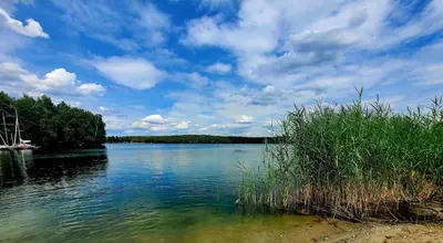 Naturlandschaft in der Nähe der Ferienwohnung