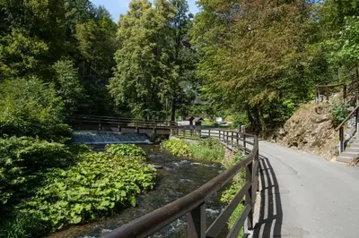Naturlandschaft in der Nähe der Ferienwohnung