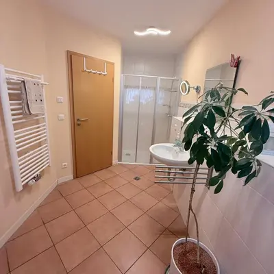 Ein Badezimmer in der Unterkunft Ferienwohnungen Börnert am 