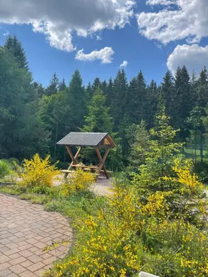Ein Garten an der Unterkunft Ferienwohnungen Börnert am 