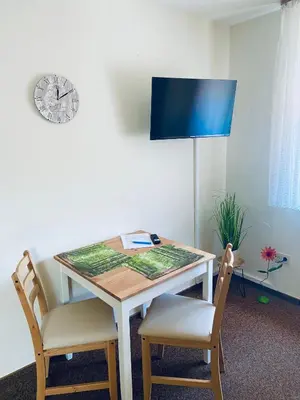 TV/Unterhaltungsangebot in der Unterkunft Forsterhof