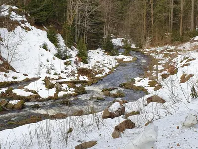 Naturlandschaft in der Nähe der Pension