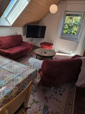 TV/Unterhaltungsangebot in der Unterkunft Ferienappartement am Almesbach Weiden