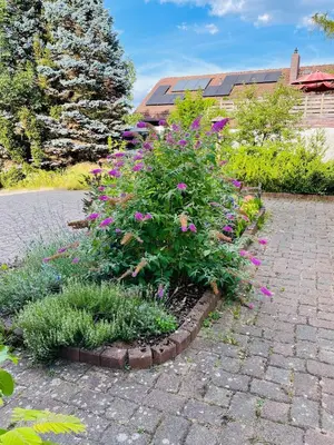 Ein Garten an der Unterkunft Ferienappartement am Almesbach Weiden