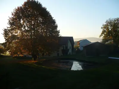 Naturlandschaft in der Nähe der Ferienwohnung