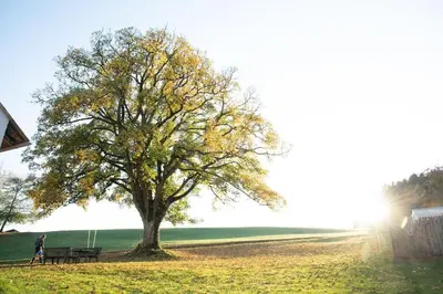 Naturlandschaft in der Nähe der Ferienwohnung