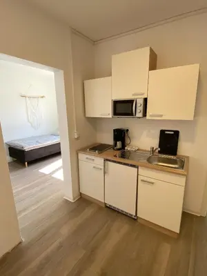 Küche/Küchenzeile in der Unterkunft Apartmenthaus Selbitz