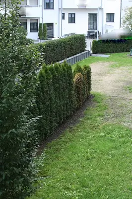 Ein Garten an der Unterkunft American Ease Apartments - Hahnbach, Vilseck, Weiden