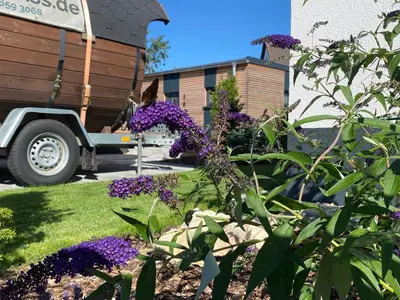Ein Garten an der Unterkunft Fichtelcube de