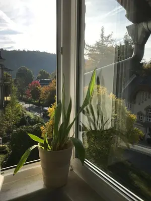 Ein allgemeiner Bergblick oder ein Berglick von der Ferienwohnung aus