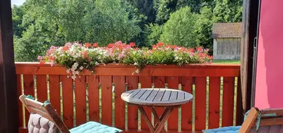Ein Garten an der Unterkunft Gasthaus Zum Schneider