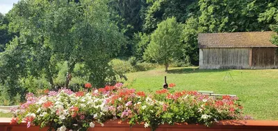Ein Garten an der Unterkunft Gasthaus Zum Schneider