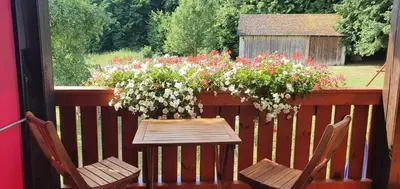 Ein Garten an der Unterkunft Gasthaus Zum Schneider
