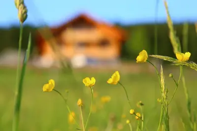 Grundriss der Unterkunft Naturpension Max-Hütte