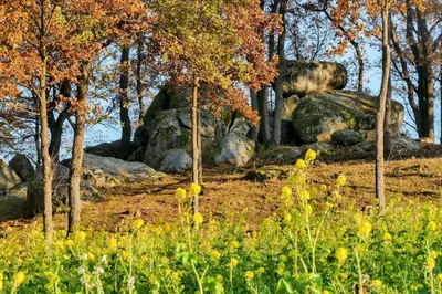 Naturlandschaft in der Nähe der Ferienwohnung