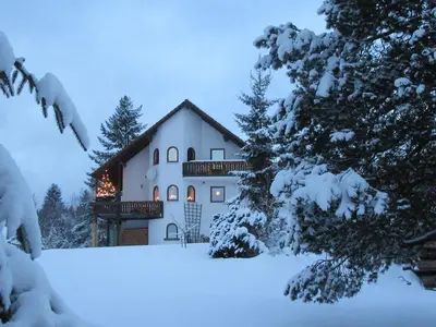 Am Waldesrand im Winter