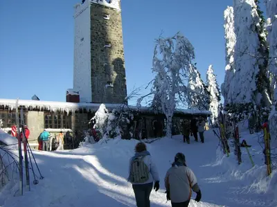 Am Waldesrand im Winter
