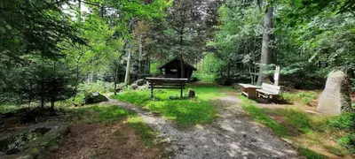 Ein Garten an der Unterkunft Am Waldesrand