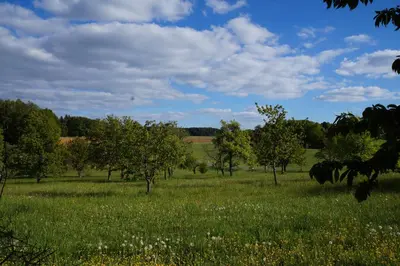 Naturlandschaft in der Nähe der Ferienwohnung