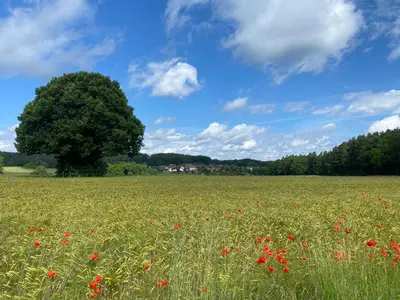 Naturlandschaft in der Nähe der Ferienwohnung