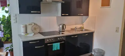 Küche/Küchenzeile in der Unterkunft Ferienwohnung Bergidyll