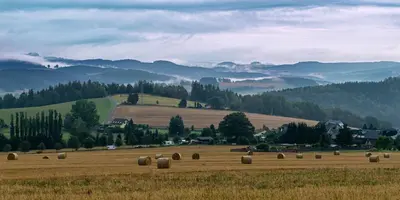 Naturlandschaft in der Nähe der Ferienwohnung
