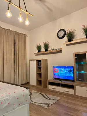 TV/Unterhaltungsangebot in der Unterkunft Apartments Plauen