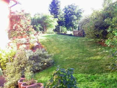 Ein Garten an der Unterkunft Ferienwohnung Bär