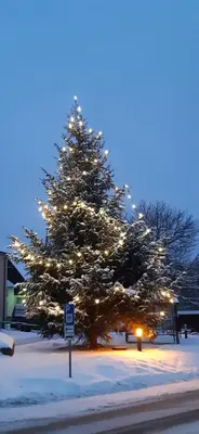 Zur alten Schmiede - Breitenbrunn/Erzgebirge im Winter