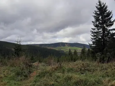 Naturlandschaft in der Nähe der Ferienwohnung