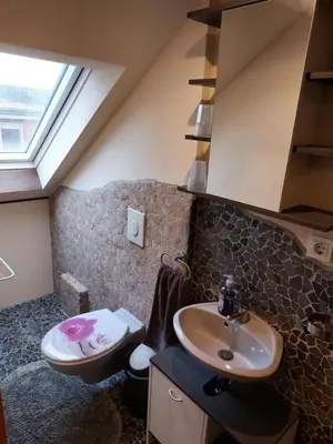 Ein Badezimmer in der Unterkunft Waldquelle Plauen
