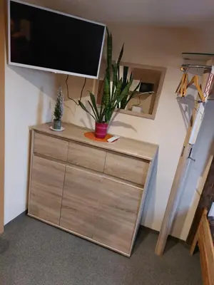 TV/Unterhaltungsangebot in der Unterkunft Waldquelle Plauen